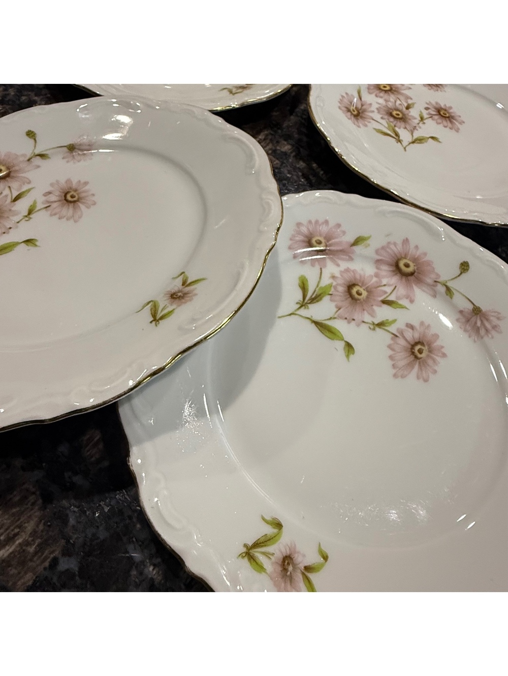 Set of 6 Vintage Mitterteich Bavaria Daisy Bell Germany Floral Plates Gold Trim